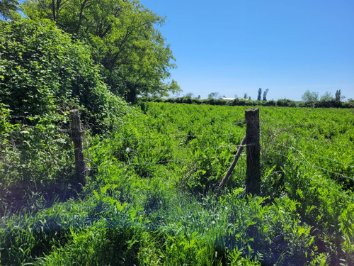 Terreno De 2,5 Há, En Cuñibal, Cercano A Los Ángeles