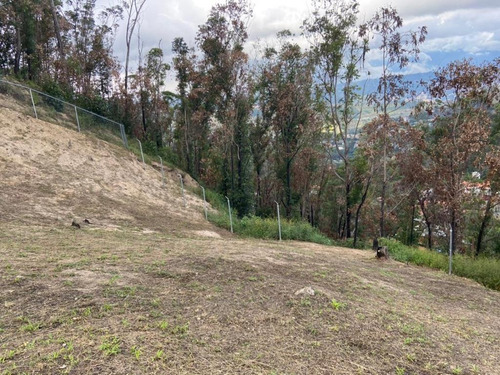 Imagen 2 de 5 de Terreno , La Peña ( San Antonio De Los Altos )