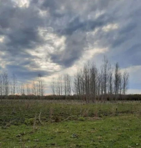 Imagen 6 de 6 de Se Vende 20 Hectáreas En Costa Uruguay Sur , Gualeguaychu