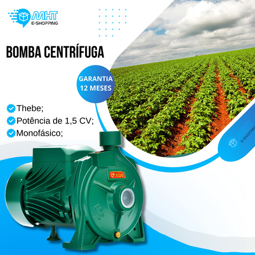 Bomba Centrifuga Thebe B-15 1.5cv Monofásico Cor Verde