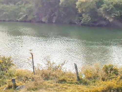 Venta Terreno 8224 M² Frente Al Estero Tuxpan Veracruz