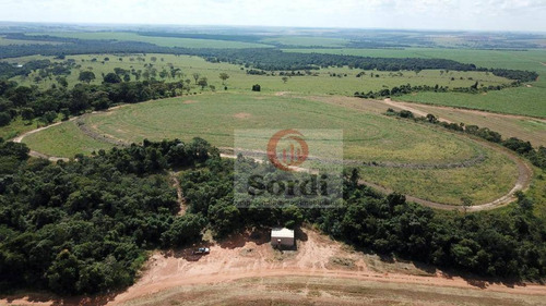 Imagem 13 de 20 de Fazenda À Venda, 4400000 M² Por R$ 22.000.000,00 - Zona Rural - Prata/mg - Fa0109