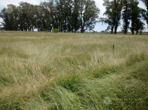 Imagen 17 de 17 de Campo De 53.3ha - Tomas Jofre Única Oportunidad Re - Tasado - Toma Propiedad