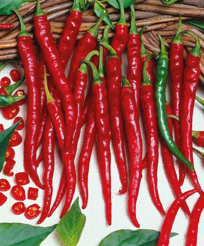 Imagem 1 de 3 de 20 Sementes Pimenta Cayenne Long Slim Capsicum Chili Pepper