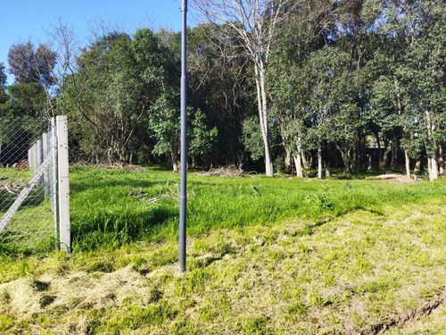Imagen 3 de 8 de 409 Entre 20 Y 22 . Lote En Venta Barrio Cerrado Los Búhos, Villa Elisa .-