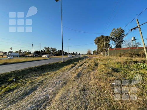 Imagen 5 de 5 de Terreno - La Plata