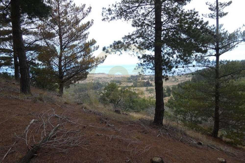 Terreno Tunquén: Naturaleza Y Vista Al Mar