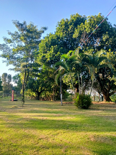 Sítio 48.400m2 Em Localização Privilegiada | Completo