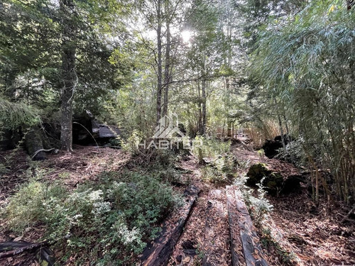 Venta De Parcela Cordillerana 7000m2 Coñaripe En Panguipulli