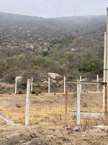 Imagen 8 de 10 de Zapallar / Punta Pite