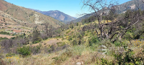 Parcela En Venta En Olmué, Quebrada Alvarado