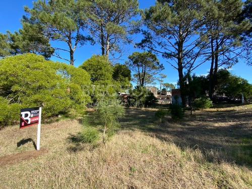 Imagen 7 de 16 de Hermoso Terreno, Zona Golf. Villa Gesell