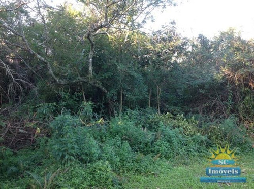 Imagem 2 de 8 de Terreno No Bairro Ingleses Em Florianópolis Sc - 13627