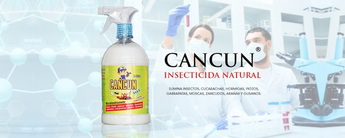 Cancun® Insecticida Natural De 500ml