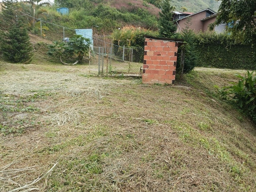 Imagen 14 de 16 de Terrenos En Venta