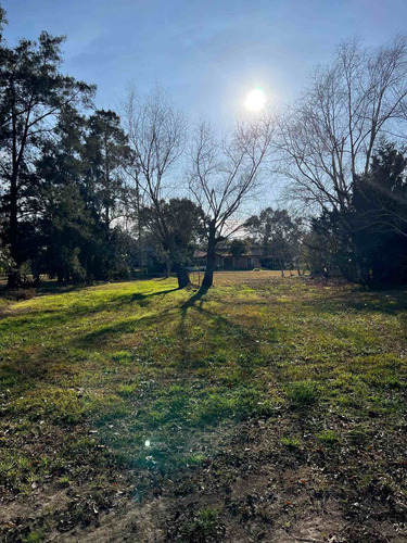 Imagen 8 de 15 de Lote Terreno Venta Mil Metros Excelente