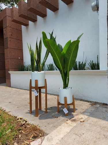 Macetas De Cerámica Con Base De Madera 4 Piezas 