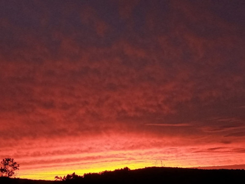 Imagen 6 de 16 de Tierra De Oz