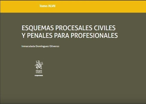 Esquemas Procesales Civiles Y Penales Para Profesional Xlvi