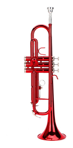 Imagen 3 de 10 de Asistente Profesional De Instrumentos De Viento De Música De