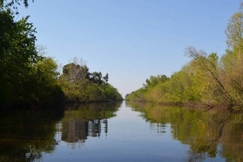Imagen 2 de 16 de Venta Lote En Bahías Del Paraná - Chacra 4000 M2