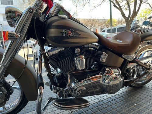 Imagen 4 de 8 de Harley Davidson Fat Boy Cvo