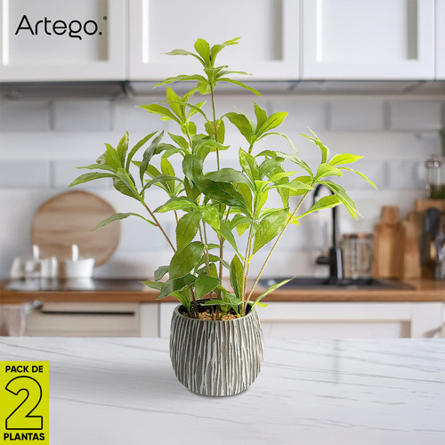 Planta Artificial Moderna Con Maceta Decorativa Real Style Andromeda Japonesa Compacta Pack De 2 Unidades De 45cm De Alto Artego Para Hogar Sala Comercio Oficina