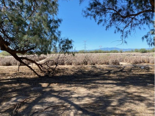 Imagen 5 de 7 de Terreno En Venta Ejido San Juan De Villanueva