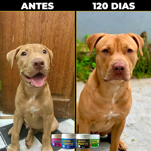Vitamina Para Abrir O Apetite Cachorro Forte 250g