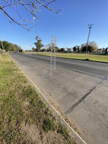 Imagen 11 de 12 de Venta Monoambiente Bv 84 E/ Dg 73 Y 71. Vivani Propiedades