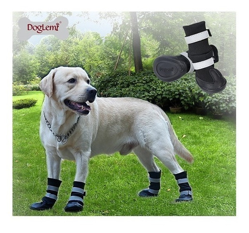 Botas Para Perros Talles Xl Color Negro Mas Envio