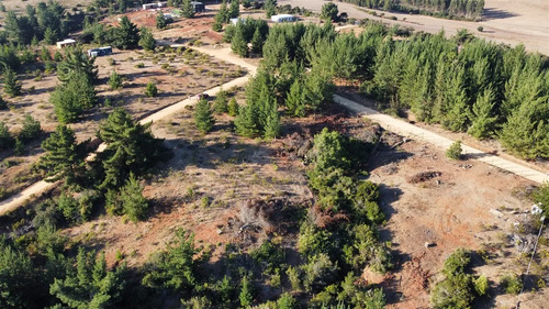 Parcela En Venta En Pichilemu