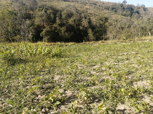 Imagem 6 de 6 de R10-lotes Plainos 5.000mts Jacareí