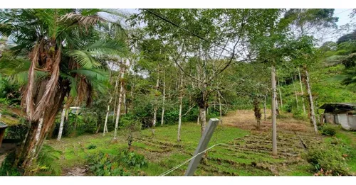 Finca En La Ruta Dapa A Bitaco La Cumbre