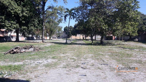 Imagem 7 de 10 de Terreno, 6000 M² - Venda Por R$ 4.000.000 Ou Aluguel Por R$ 25.000/mês - Taquara. - Te0024