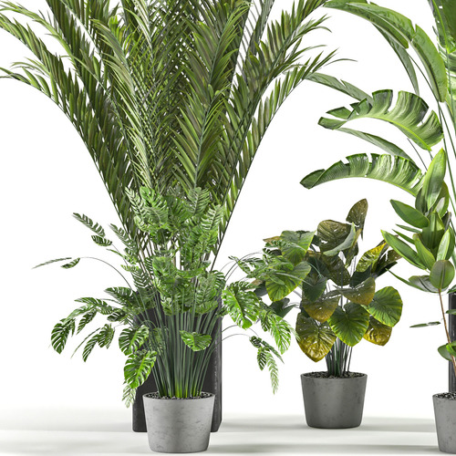Pack Objetos Plantas Interior Exterior Render 3d Bim Obj Mtl