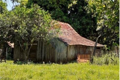 Imagen 11 de 14 de Vendo Casa Quinta En Carmen Del Paraná: 12 Hectáreas Y Media