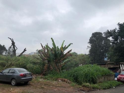 Imagem 6 de 6 de Terreno Para Venda Em Cajamar, Panorama (polvilho) - 22065_1-2161398