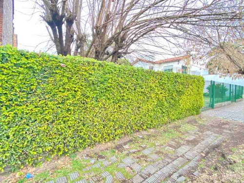 Imagen 2 de 3 de Lote En Venta En Ituzaingo Sur