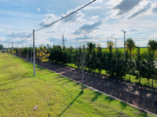 Imagen 1 de 9 de Lotes En Venta Con Todos Los Servicios - Alvear