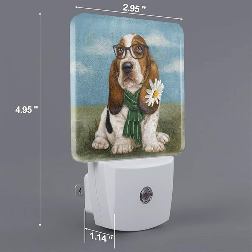 Basset Hound - Luz Nocturna Para Perro Con Luz Nocturna Led
