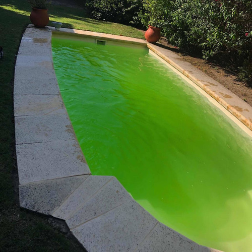 Servicio Técnico De Piscinas-reparación- Pintura Etc