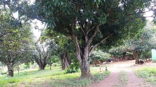 Imagem 5 de 8 de Vende Se Ou Troca Chácara Com Bela Vista.