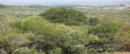 Sierra De Los Caracoles, Casi 30 Hectáreas Frente A Agroland