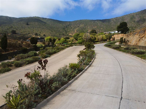 Terreno En Venta En Zapallar