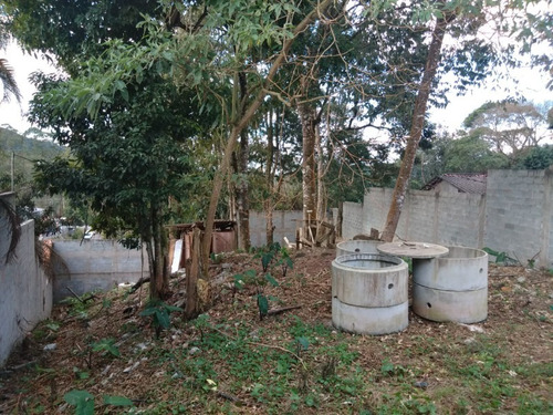 Imagem 3 de 7 de Terreno - Te00011 - 69539353