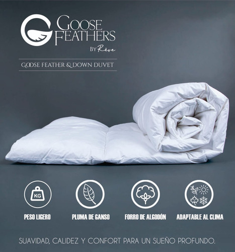 Edredon Plumon Duvet Plumas De Ganso Americanos + Almohada