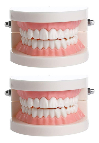 Modelos Dentales Útiles, Modelos De Dientes Educativos, 2 Pi