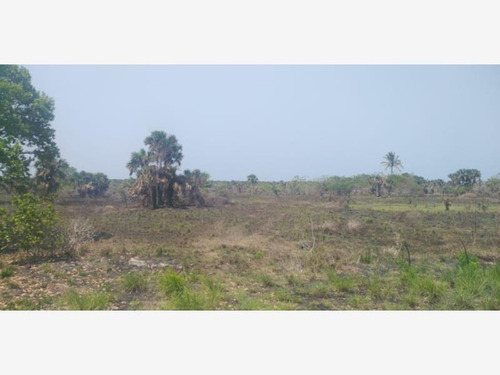 Imagen 2 de 4 de Terreno Comercial En Venta Salinas Alvarado
