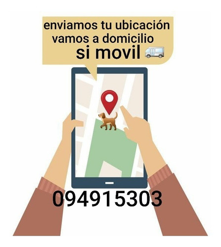 Imagen 4 de 4 de Peluquería Canina Movil